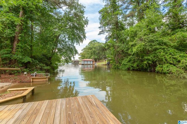 215 DAVIS ACRES DRIVE, Alpine, AL 35014
