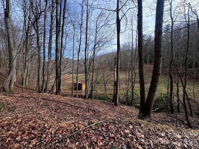 TBD Sugar Camp Road, Marshall, NC 28753