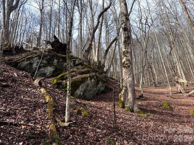 TBD Sugar Camp Road, Marshall, NC 28753