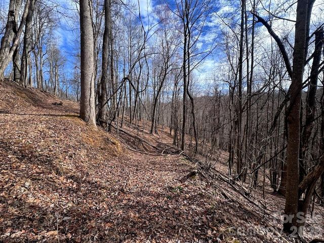 TBD Sugar Camp Road, Marshall, NC 28753