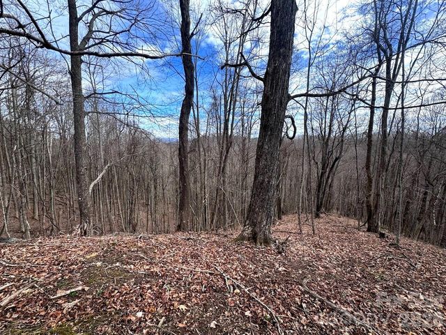 TBD Sugar Camp Road, Marshall, NC 28753