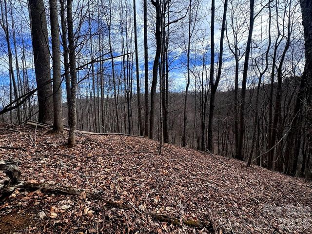 TBD Sugar Camp Road, Marshall, NC 28753