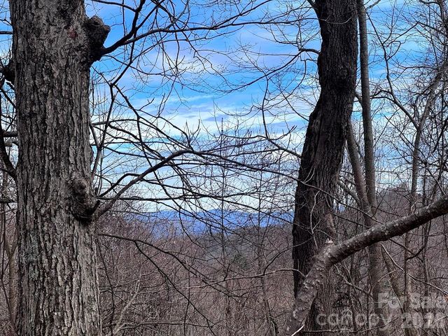 TBD Sugar Camp Road, Marshall, NC 28753
