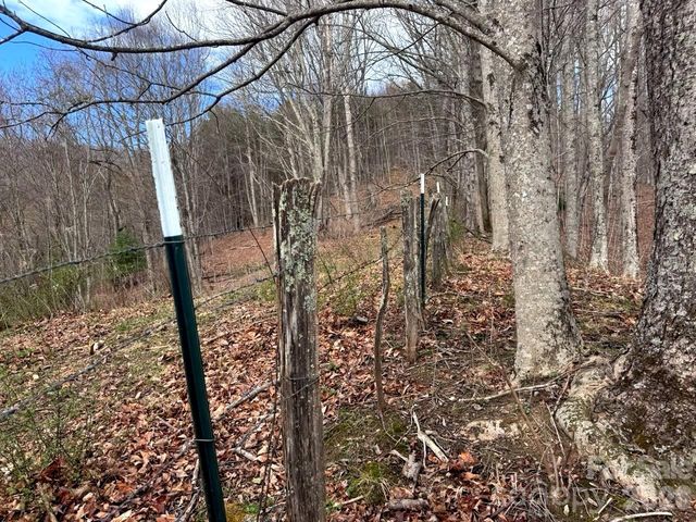 TBD Sugar Camp Road, Marshall, NC 28753
