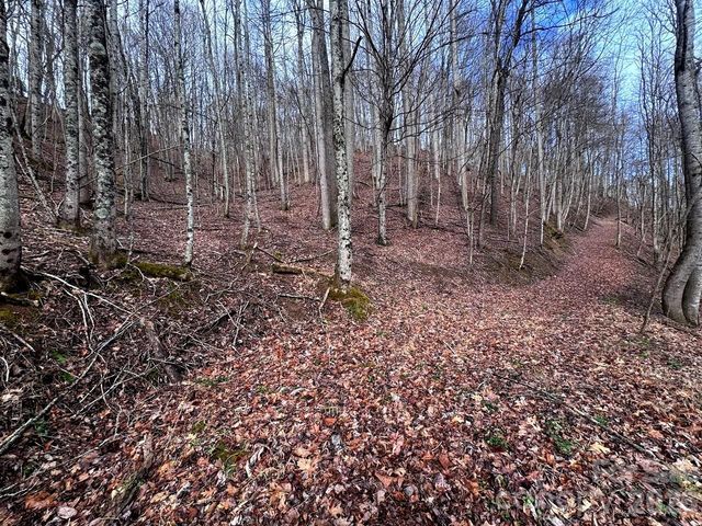 TBD Sugar Camp Road, Marshall, NC 28753