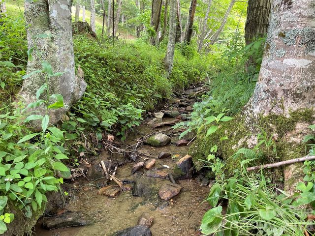 TBD Sugar Camp Road, Marshall, NC 28753