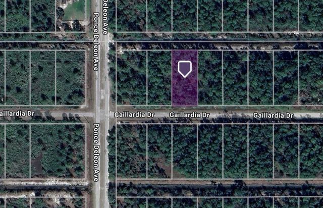 320 GAILLARDIA DRIVE, Indian Lake Estates, FL 33855