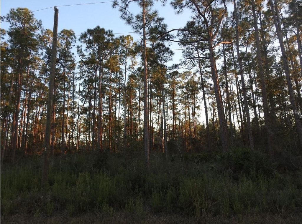 320 GAILLARDIA DRIVE, Indian Lake Estates, FL 33855