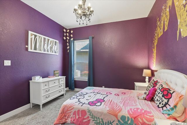 920 Carriage Loop, New Braunfels, TX 78132