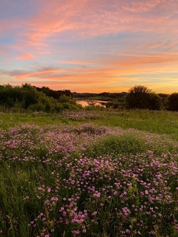 1310 Lone Pine Drive SW, Rochester, MN 55902