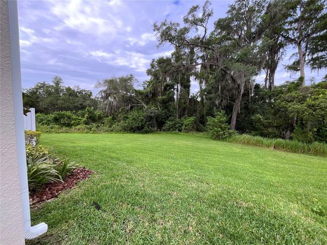 6712 ROCKY PARK STREET, Tampa, FL 33625