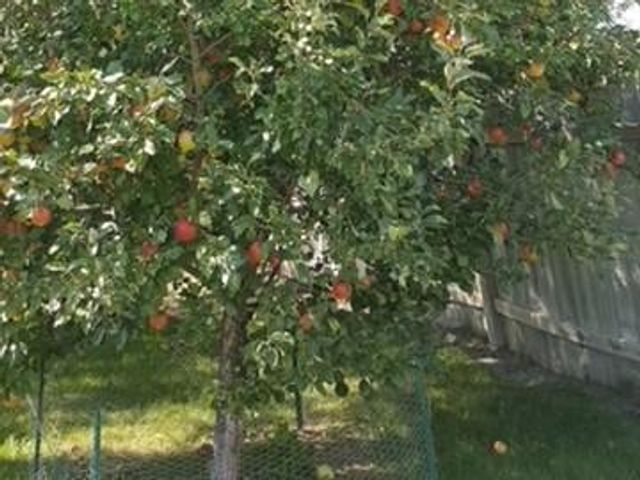 205 4TH Street E, Horace, ND 58047