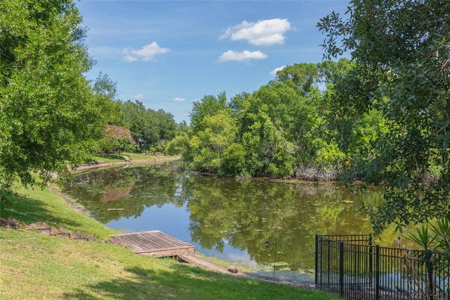 22704 RODERICK DRIVE, Land O Lakes, FL 34639