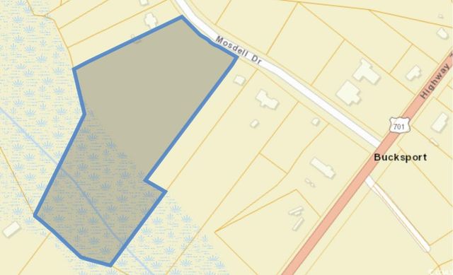 TBD Mosdell Dr., Conway, SC 29527