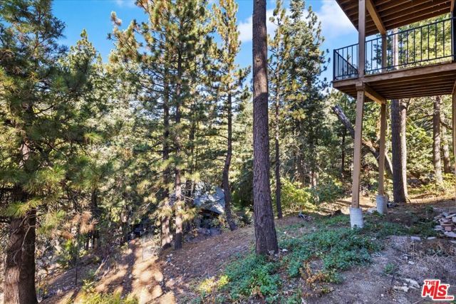 6302 Spruce Avenue, Angelus Oaks, CA 92305