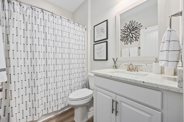 2104 Wood Stork Dr., Conway, SC 29526