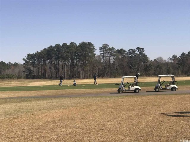 2104 Wood Stork Dr., Conway, SC 29526