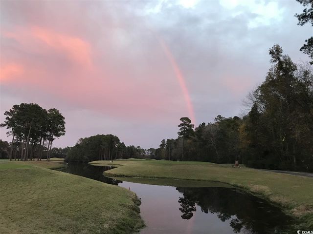 2104 Wood Stork Dr., Conway, SC 29526