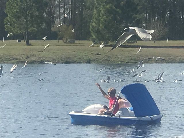 2104 Wood Stork Dr., Conway, SC 29526