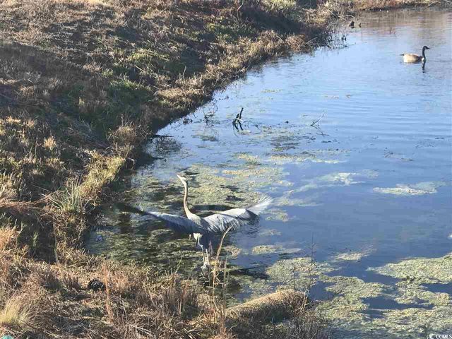 2104 Wood Stork Dr., Conway, SC 29526