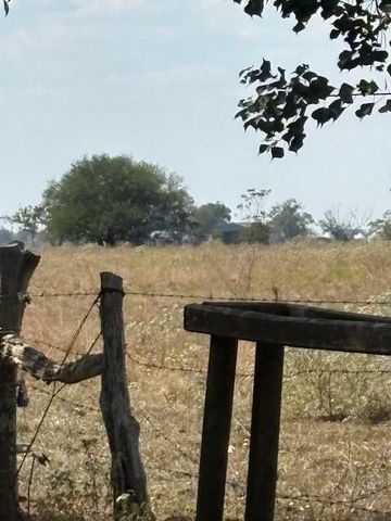 15208-15214 Fm 1489 Road, Rosenberg, TX 77471