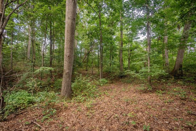 1557 RINACAS CORNER RD, Shenandoah, VA 22849