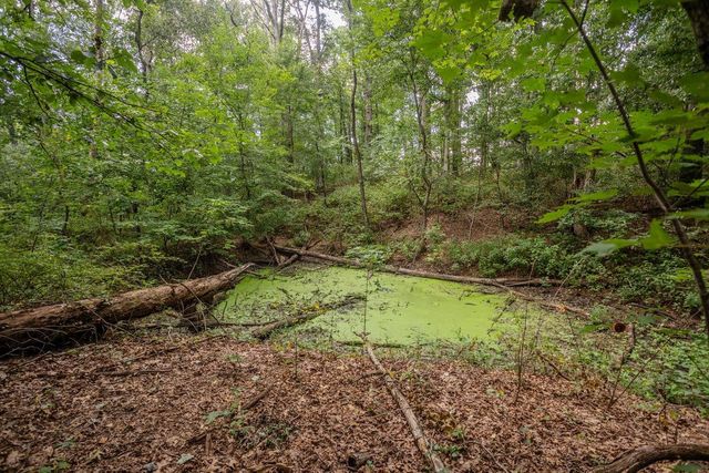 1557 RINACAS CORNER RD, Shenandoah, VA 22849