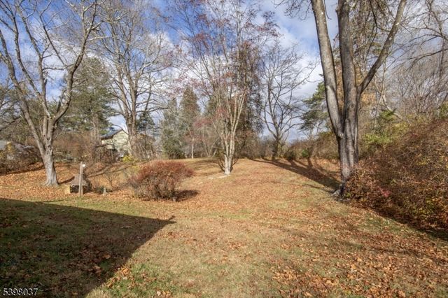 10 Maple St, Peapack Gladstone Boro, NJ 07934