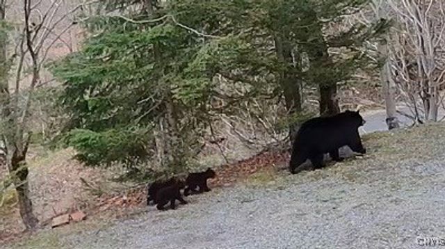 103 Onondaga Road, Webb, NY 13420