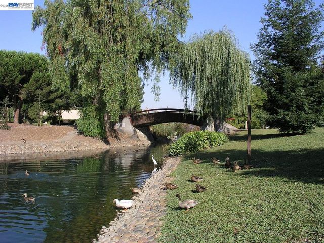 2500 Copa Del Oro Dr, Union City, CA 94587