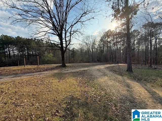 12850 HIGHWAY 43, Vandiver, AL 35176