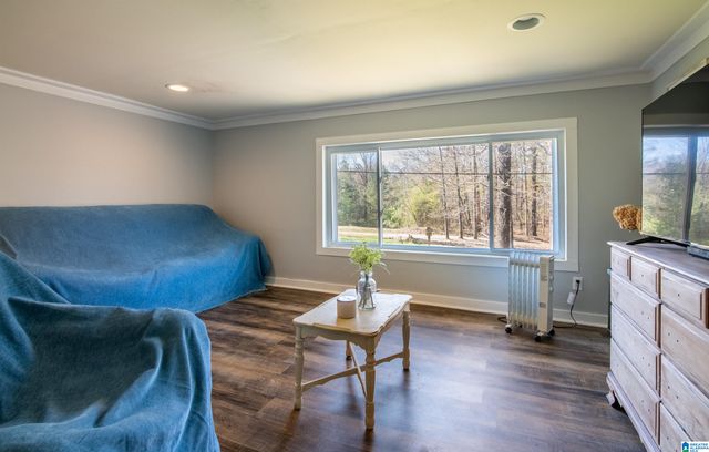 12850 HIGHWAY 43, Vandiver, AL 35176