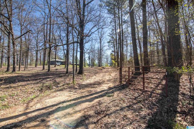 12850 HIGHWAY 43, Vandiver, AL 35176