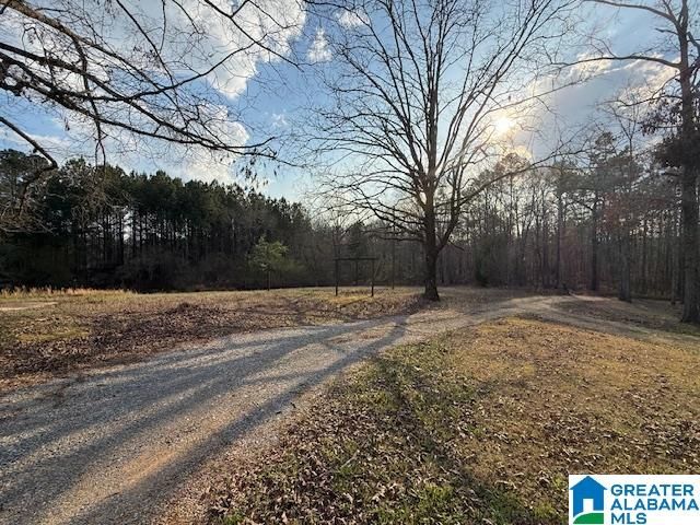 12850 HIGHWAY 43, Vandiver, AL 35176