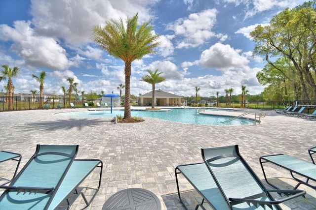 1601 SWAN SWIM DRIVE, Davenport, FL 33837