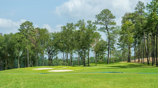 7926 Coastal Prairie Drive, Porter, TX 77365