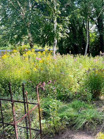 6312 230th Street, Saint Augusta, MN 56301