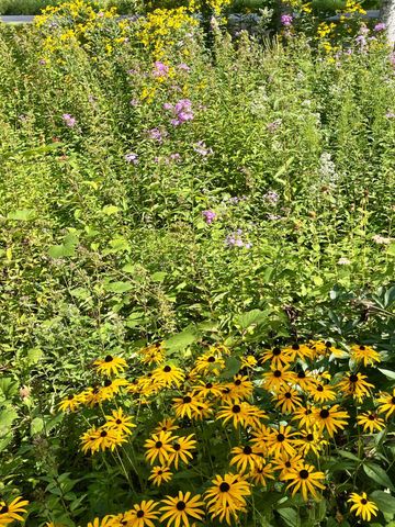 6312 230th Street, Saint Augusta, MN 56301