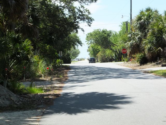575 Pelican Court, Edisto Island, SC 29438