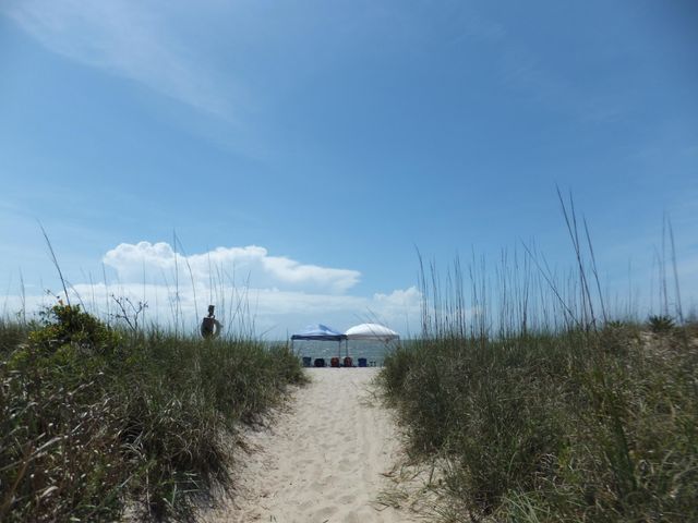 575 Pelican Court, Edisto Island, SC 29438