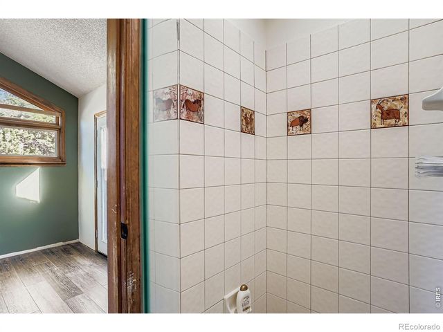 30172 Hilltop Drive, Evergreen, CO 80439