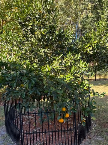 69 Glencairn Ave, Bluffton, SC 29910