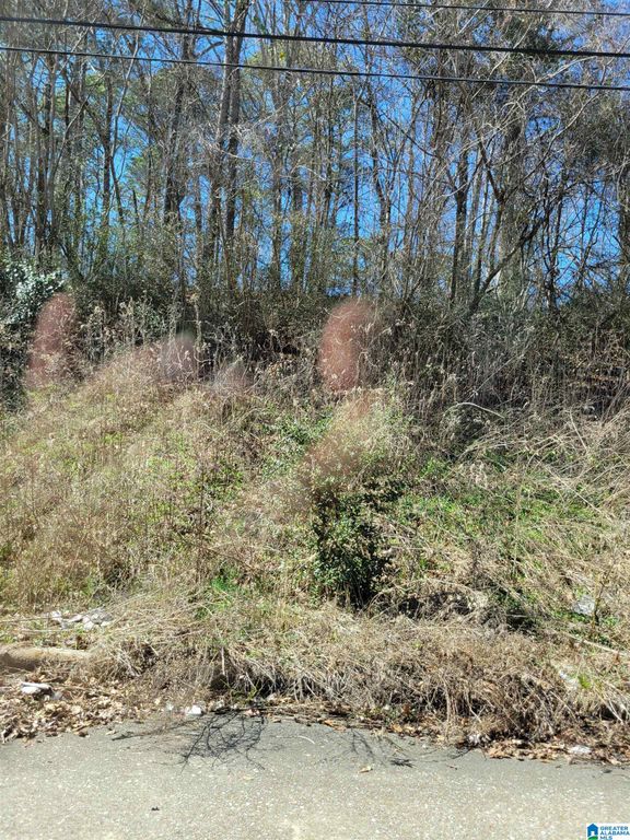 1920 FORESTDALE BOULEVARD, Forestdale, AL 35214