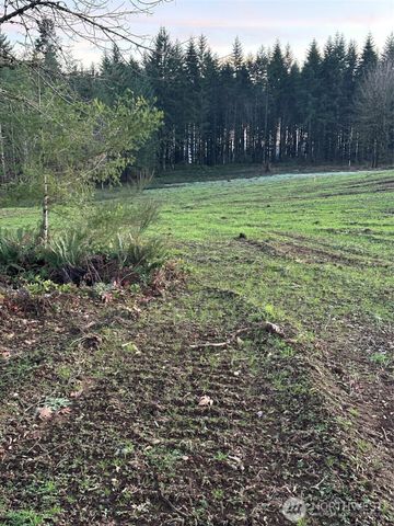 239 Suncrest Drive, Castle Rock, WA 98611