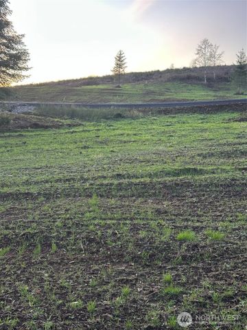 239 Suncrest Drive, Castle Rock, WA 98611