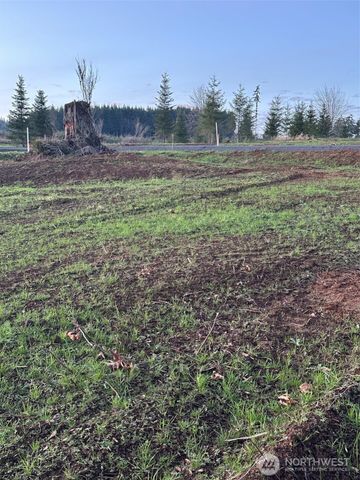 239 Suncrest Drive, Castle Rock, WA 98611