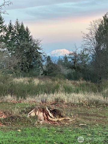 239 Suncrest Drive, Castle Rock, WA 98611