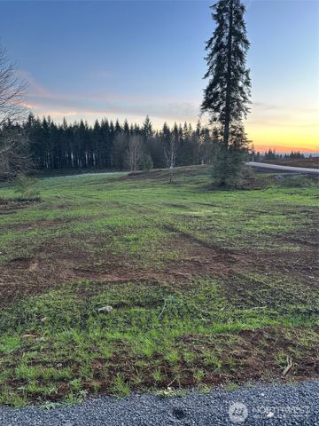 239 Suncrest Drive, Castle Rock, WA 98611