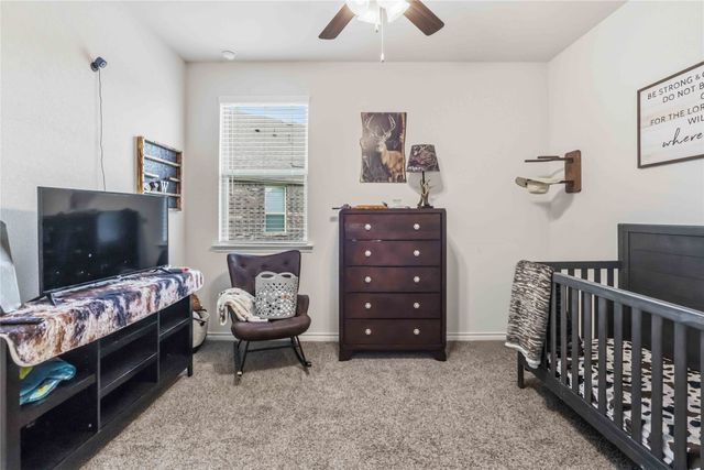11005 Mustang Trail, Aubrey, TX 76227