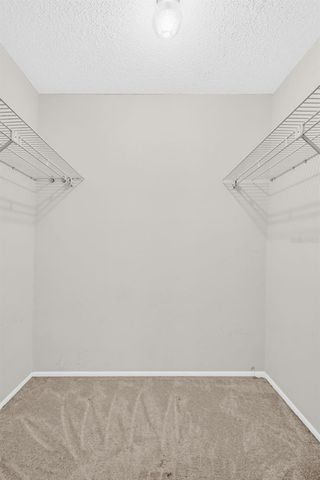 120 EVELYN COURT, Oldsmar, FL 34677